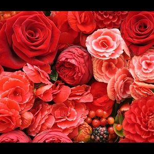 Meet your Posher, Mary kathryn